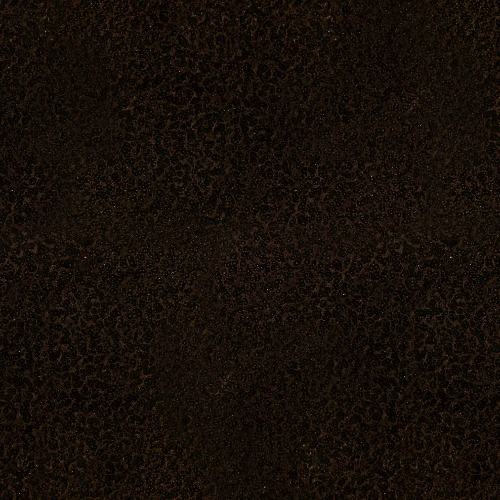 Thumbnail 37